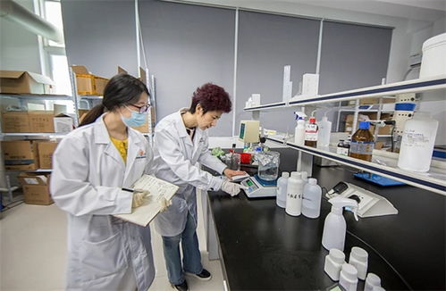 抓品質(zhì)重服務(wù)，海智生物專注品質(zhì)，倚夢(mèng)前行